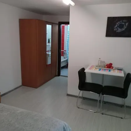 Apartament Cu Un Dormitor Spatios In Centrul Apartment Cluj-Napoca