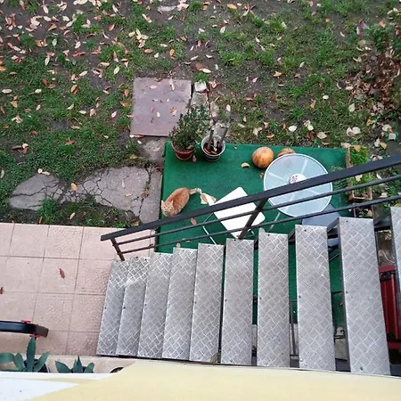 Apartamento Apartament Cu Un Dormitor Spatios In Centrul Cluj-Napoca