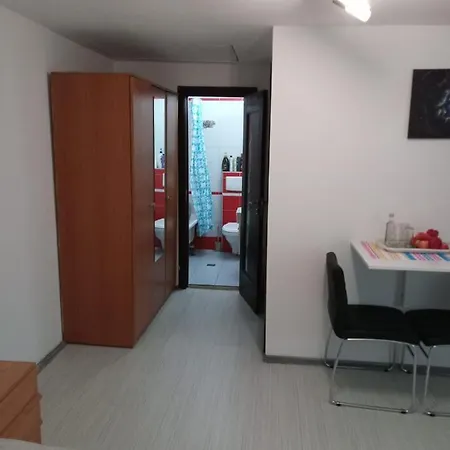 Apartment Apartament Cu Un Dormitor Spatios In Centrul