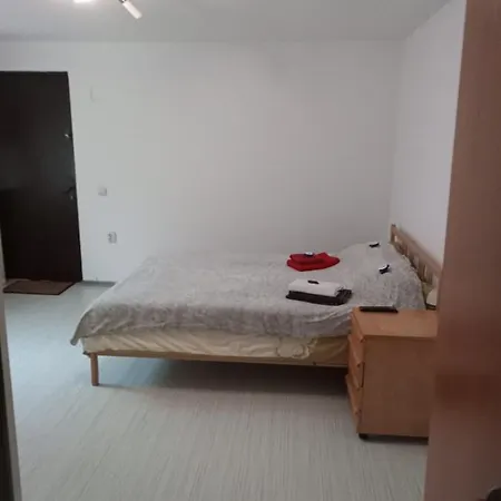 Apartament Cu Un Dormitor Spatios In Centrul Apartment *