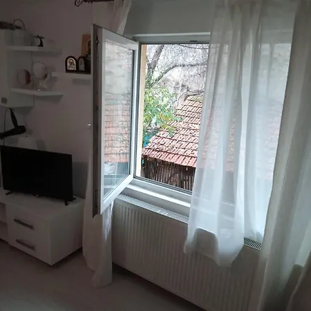 Apartment Apartament Cu Un Dormitor Spatios In Centrul