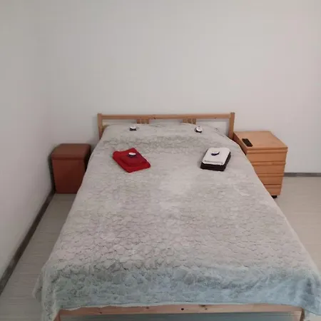 Apartament Cu Un Dormitor Spatios In Centrul