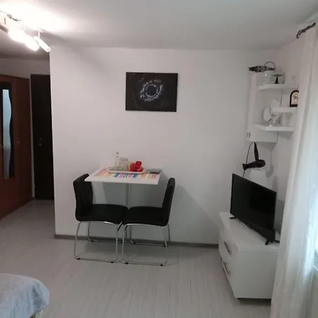 Apartment Apartament Cu Un Dormitor Spatios In Centrul *