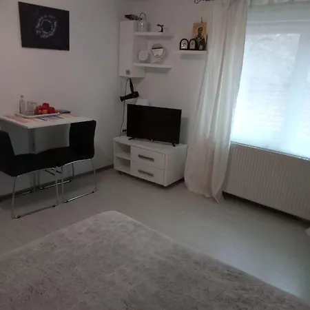Apartment Apartament Cu Un Dormitor Spatios In Centrul