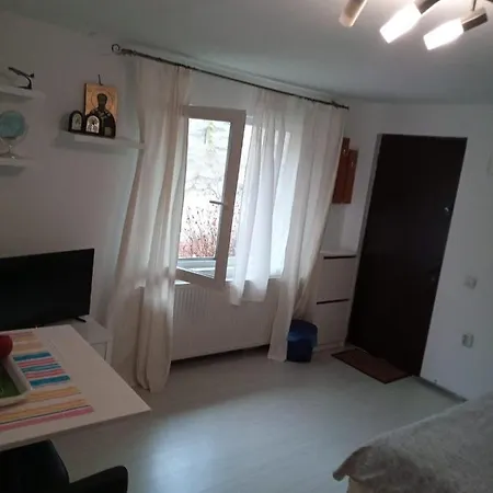 Apartment Apartament Cu Un Dormitor Spatios In Centrul