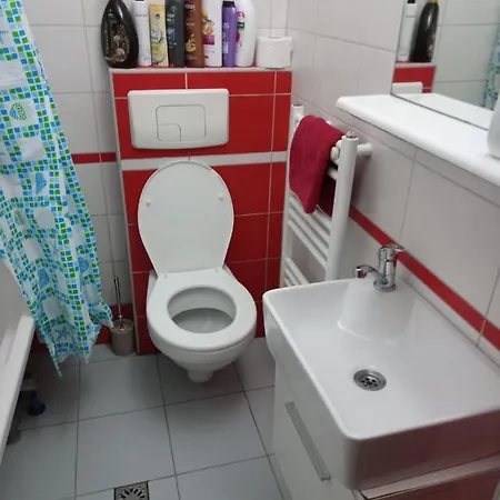 Apartament Cu Un Dormitor Spatios In Centrul * Cluj-Napoca