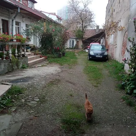 Apartament Cu Un Dormitor Spatios In Centrul